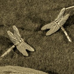 Tiny Dragonfly Post Earrings
